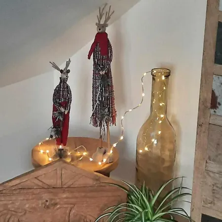 Bed & Breakfast Tam's Zolder