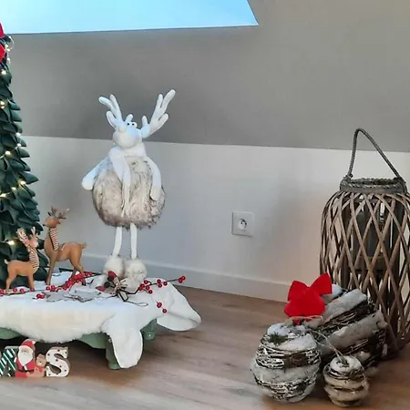 Tam's Zolder 3* Boeschepe